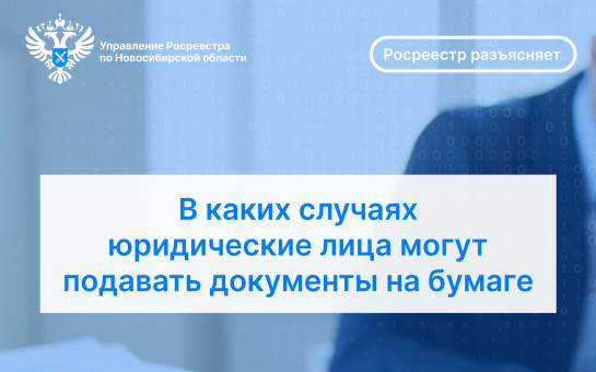 В каких случаях юридические лица могут подавать документы на бумаге